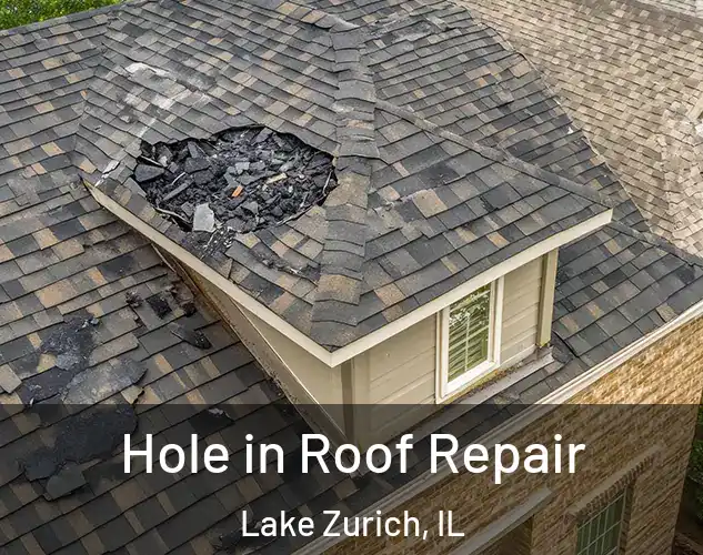  Hole in Roof Repair Lake Zurich, IL