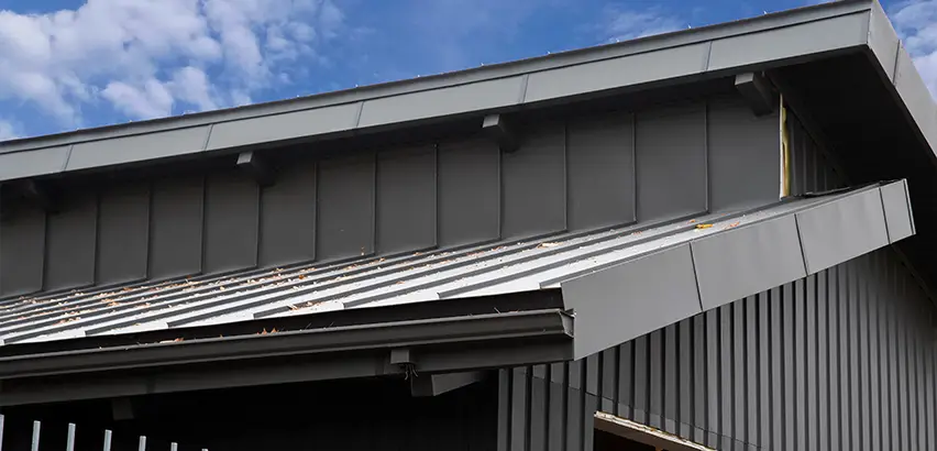 Professional Roof Eaves Installation Services in Lake Zurich, IL