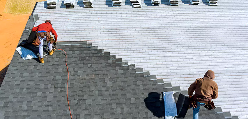 Cement Tile Roof Restoration in Lake Zurich