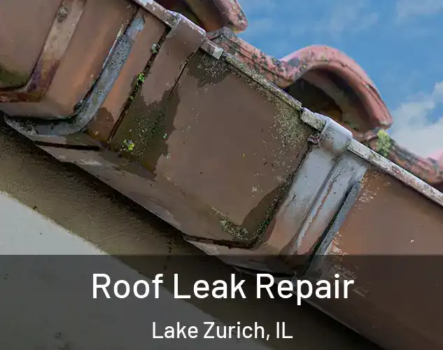  Roof Leak Repair Lake Zurich, IL