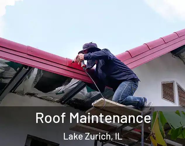  Roof Maintenance Lake Zurich, IL